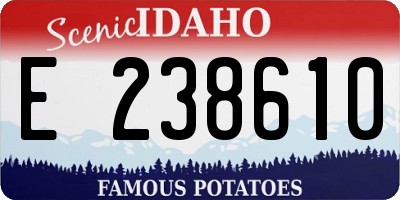 ID license plate E238610