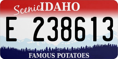 ID license plate E238613