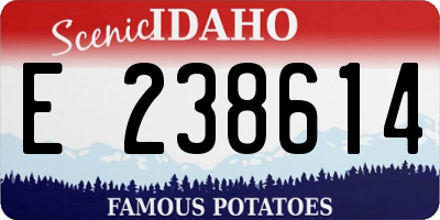 ID license plate E238614