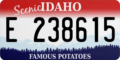 ID license plate E238615