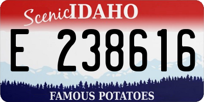 ID license plate E238616