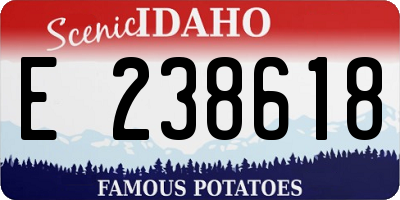 ID license plate E238618