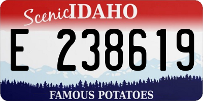 ID license plate E238619