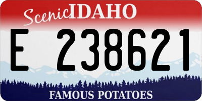ID license plate E238621