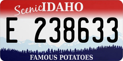 ID license plate E238633