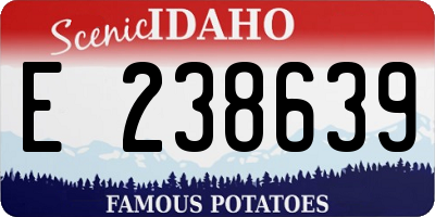 ID license plate E238639