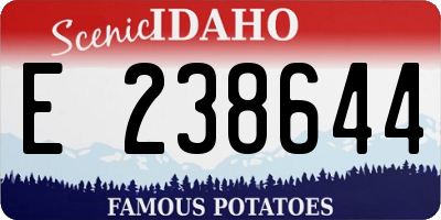 ID license plate E238644