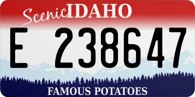 ID license plate E238647