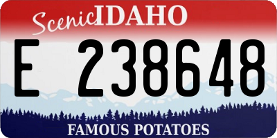 ID license plate E238648