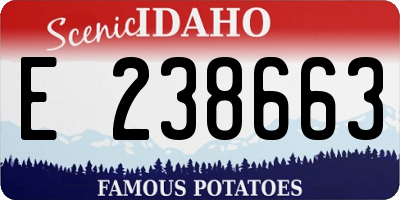 ID license plate E238663