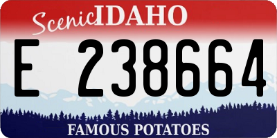 ID license plate E238664
