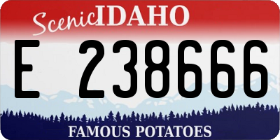 ID license plate E238666