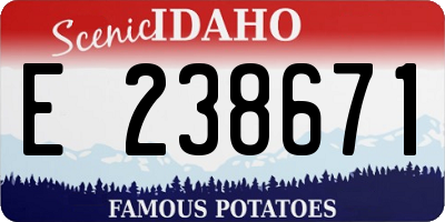 ID license plate E238671