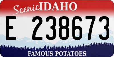ID license plate E238673