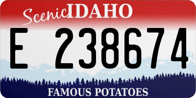 ID license plate E238674