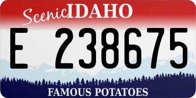 ID license plate E238675