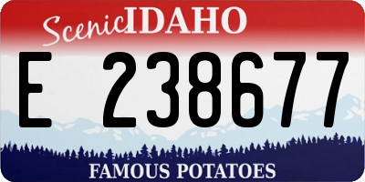ID license plate E238677