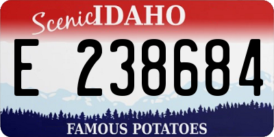 ID license plate E238684