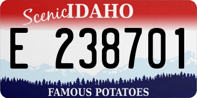 ID license plate E238701