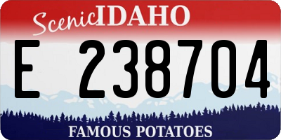 ID license plate E238704