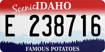 ID license plate E238716