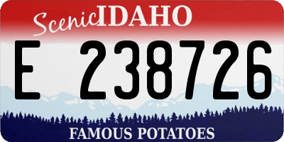 ID license plate E238726