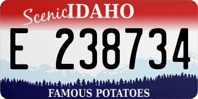 ID license plate E238734