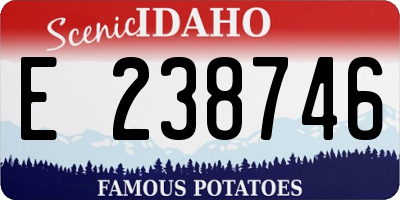 ID license plate E238746