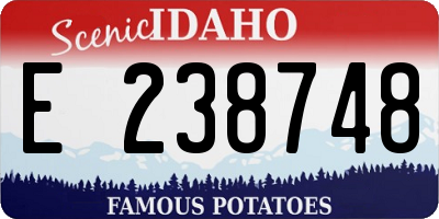 ID license plate E238748