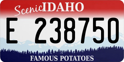ID license plate E238750