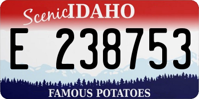 ID license plate E238753