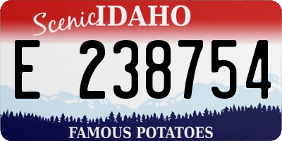 ID license plate E238754