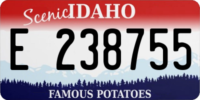 ID license plate E238755