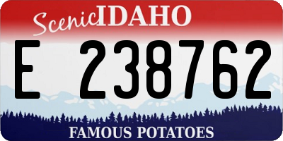 ID license plate E238762