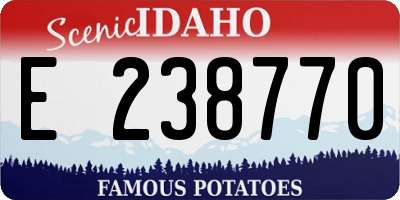 ID license plate E238770