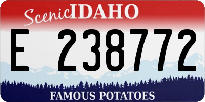 ID license plate E238772
