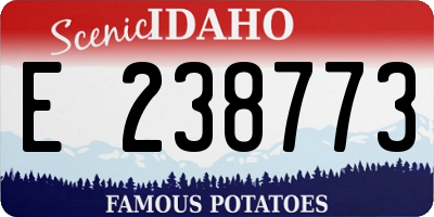 ID license plate E238773