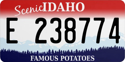 ID license plate E238774