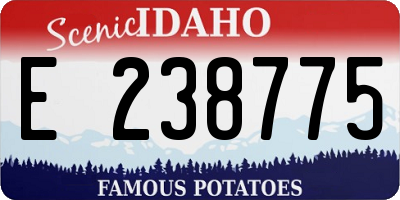 ID license plate E238775