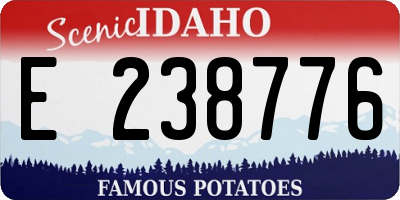 ID license plate E238776