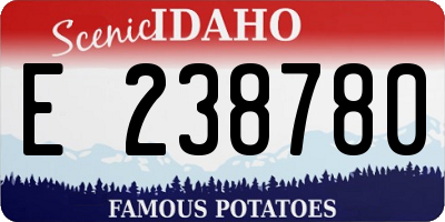 ID license plate E238780