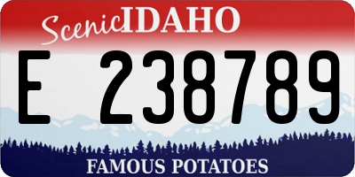 ID license plate E238789
