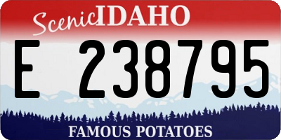 ID license plate E238795