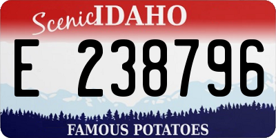 ID license plate E238796