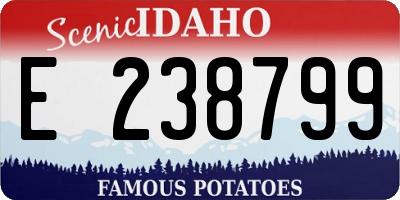 ID license plate E238799