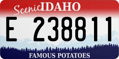 ID license plate E238811