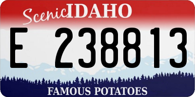 ID license plate E238813