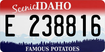 ID license plate E238816