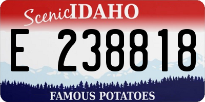 ID license plate E238818
