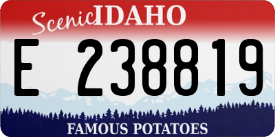 ID license plate E238819